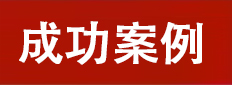 成功案例
